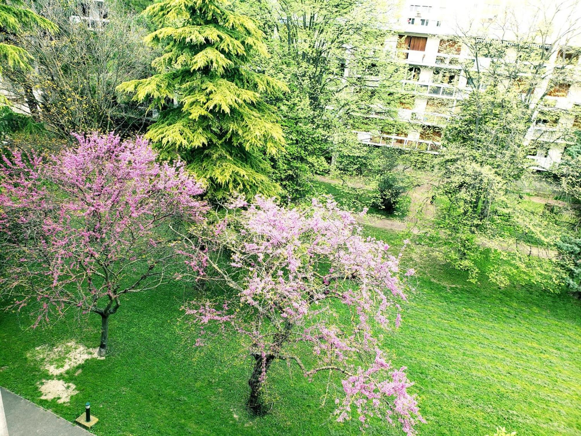 Suite From 1 To 6 - Bathtubs In Rooms - Air Conditioned Residential Appartement - Self-Arrival - Wifi - Netflix Disney - Kitchen - Laundry - Parking Avignon Exterior foto